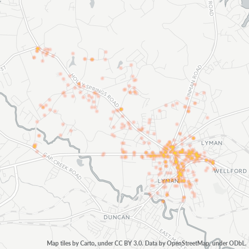 Springs Global US, Inc. Lyman, South Carolina Bill Newsome