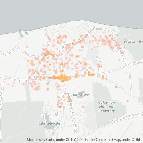 Little Flower Children's Services (631) 9296200 Wading River, New York