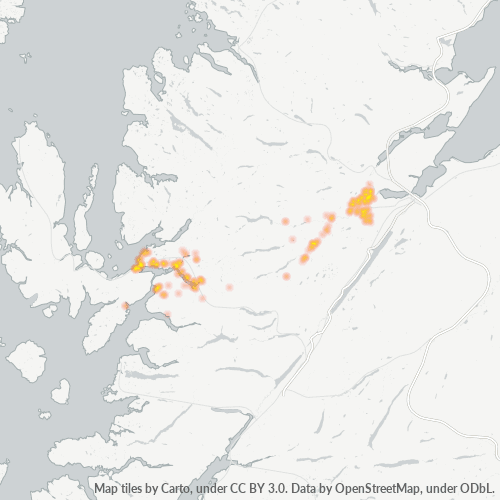 Shell | Beauly