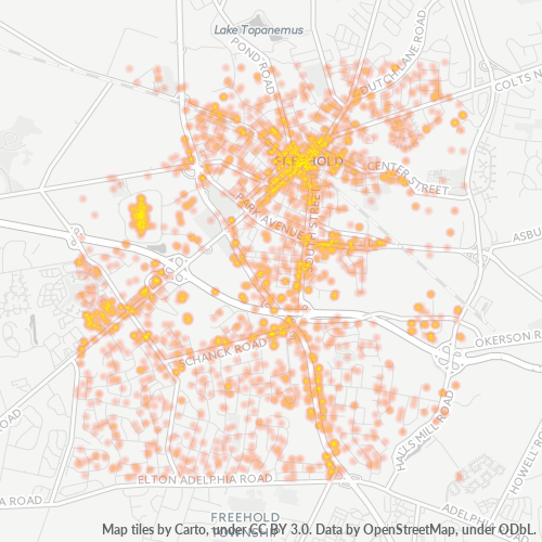 Nelle's Dominican Arts Beauty Salon (732) 3330175 Freehold Borough
