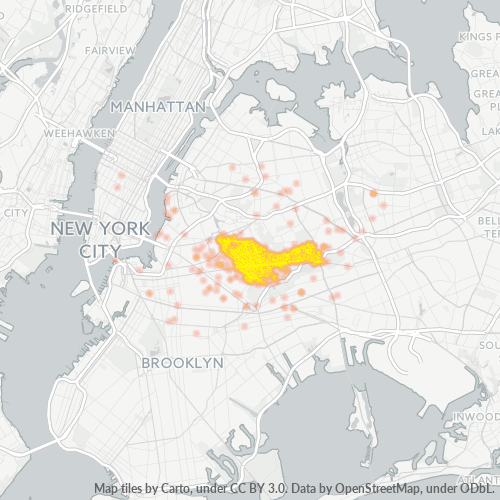 Schauer Agency (718) 8212800 New York City